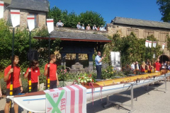 Bild-1