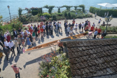 Bild-25