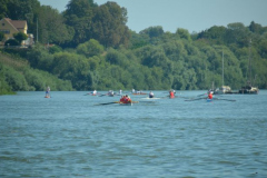 Bild-41