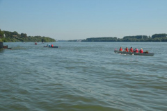 Bild-43