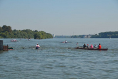 Bild-45